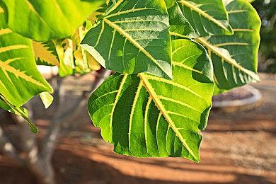 支持中文 科幻合作生存恐怖《Byte Breach》Steam页面